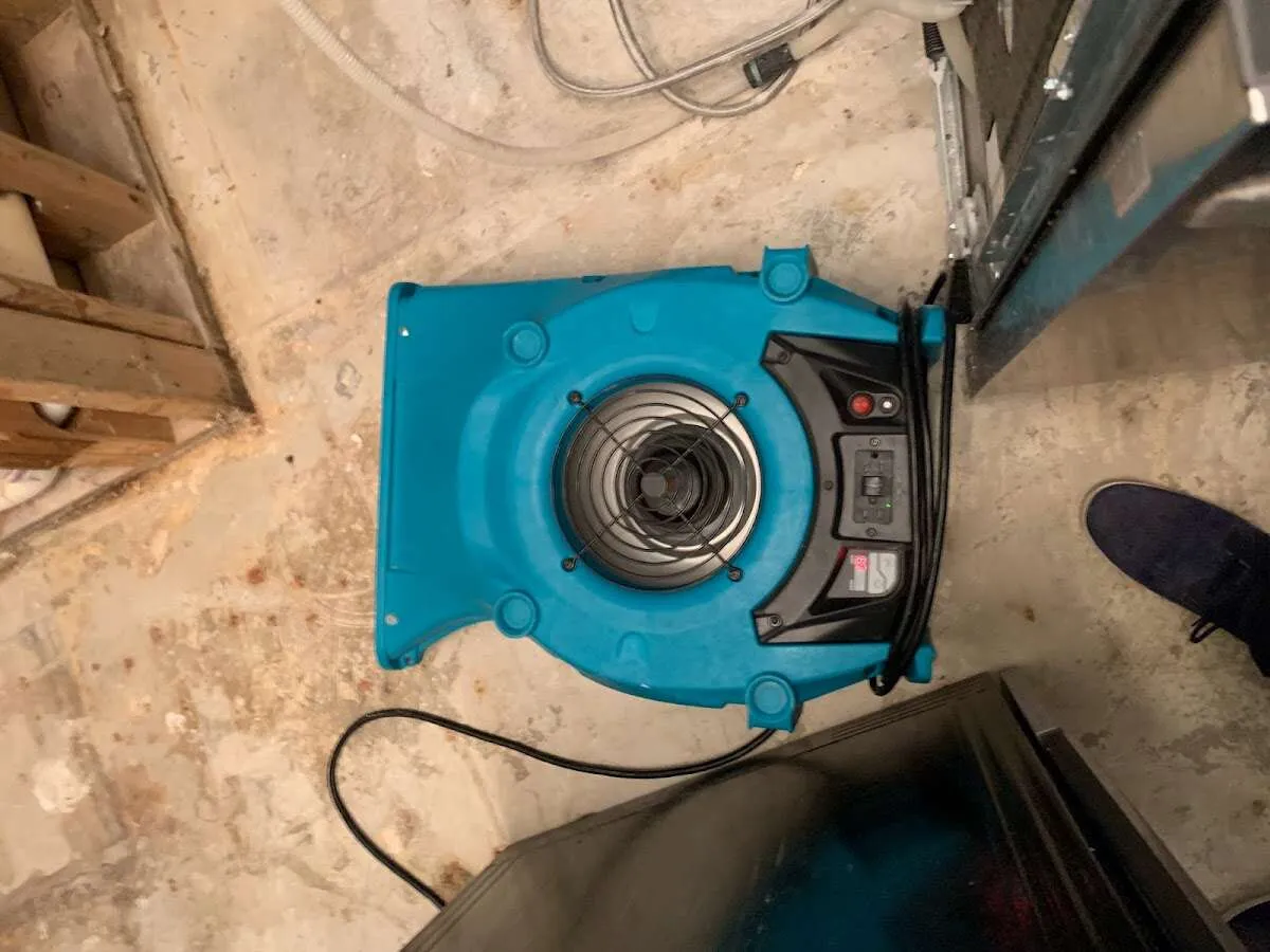 Air mover drying equipment for Mold Remediation & Removal in Green Valley